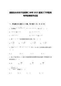 湖南省永州市宁远县第二中学2025届高三下学期高考押题卷数学试题