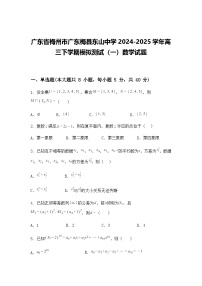 广东省梅州市广东梅县东山中学2024-2025学年高三下学期模拟测试（一）数学试题（含答案及解析）