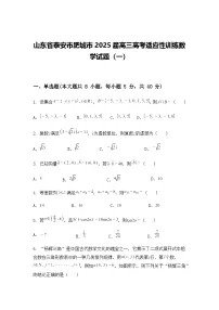山东省泰安市肥城市2025届高三高考适应性训练数学试题（一）（含答案解析）