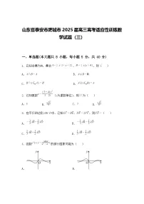 山东省泰安市肥城市2025届高三高考适应性训练数学试题（三）（含答案解析）