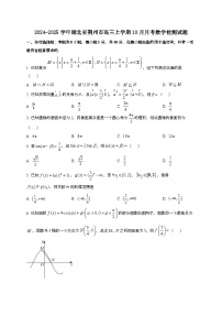 2024~2025学年湖北省荆州市高三上册10月月考数学试卷
