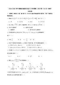 2024~2025学年湖南省衡阳市高三上册第二次月考（10月）数学试卷[有解析]