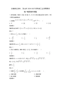 云南省红河州、文山州2024-2025学年高二上学期期末统一检测数学试题（解析版）