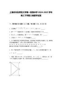 上海市华东师范大学第一附属中学2024-2025学年高三下学期三模数学试题（含答案解析）