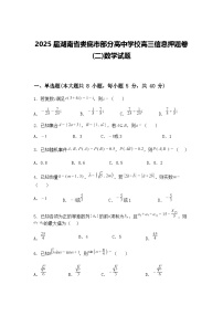 2025届湖南省娄底市部分高中学校高三下信息押题卷(二)数学试题（含答案解析）