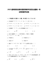 2025届陕西省安康市普通高等学校招生全国统一考试高三下预测数学试题（含答案解析）