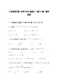 广东省湛江第一中学2025届高三下”临门一脚“数学模拟试题（含答案解析）