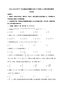 2024~2025学年广东省清远市清新区高三上学期12月期末联考数学试卷（含解析）