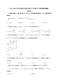 2024~2025学年河北省石家庄市高三上学期10月联考数学模拟试卷