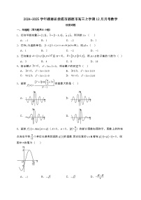 2024~2025学年湖南省娄底市涟源市高三上学期12月月考数学试卷【有解析】