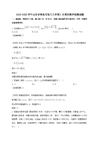 2024~2025学年山东省青岛市高三上学期1月期末数学试卷【有解析】