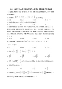2024~2025学年山东省青岛市高三上学期1月期末数学试卷（含解析）