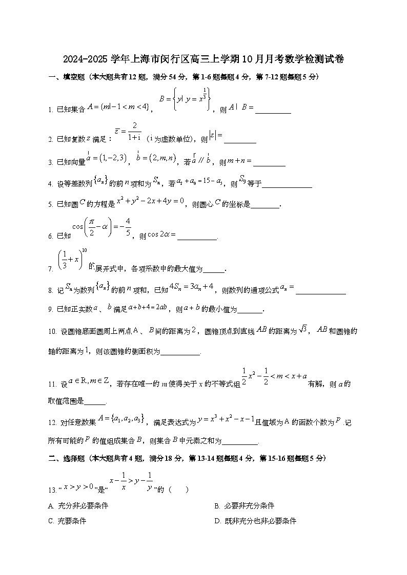 2024~2025学年上海市闵行区高三上学期10月月考数学试卷第1页
