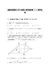 湖南省邵阳市2025届高三下高考信息卷(一)数学模拟试题(含答案解析)