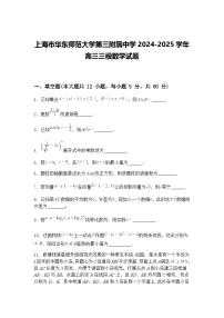 上海市华东师范大学第三附属中学2024-2025学年高三下三模数学试题（含答案解析）