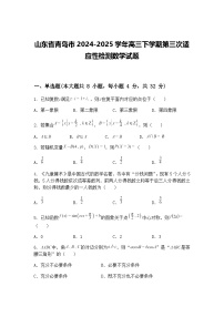 山东省青岛市2024-2025学年高三下学期第三次适应性检测数学试题（含答案解析）