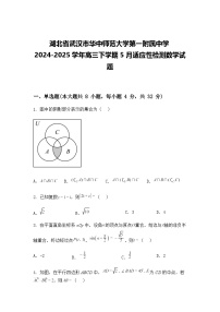 湖北省武汉市华中师范大学第一附属中学2024-2025学年高三下学期5月适应性检测数学模拟试题（含答案解析）