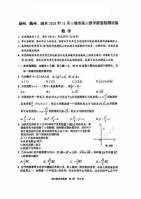 浙江省湖州市、衢州市、丽水市2024-2025学年高三上学期11月教学质量检测数学试卷+答案