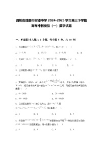 四川省成都市树德中学2024-2025学年高三下学期高考冲刺模拟（一）数学试题（含答案解析）