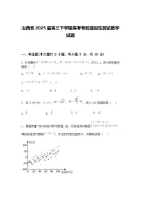 山西省2025届高三下学期高考考前适应性测试数学试题（含答案解析）