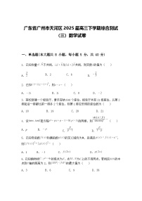 广东省广州市天河区2025届高三下学期综合测试（三）数学试卷（含答案解析）