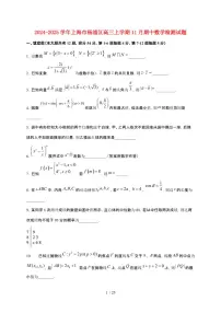 2024_2025学年上海市杨浦区高三上册11月期中数学试卷【有解析】