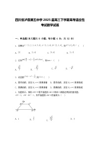 四川省泸县第五中学2025届高三下学期高考适应性考试数学模拟试题（含答案解析）