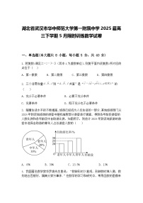 湖北省武汉市华中师范大学第一附属中学2025届高三下学期5月限时训练数学试卷（含答案解析）