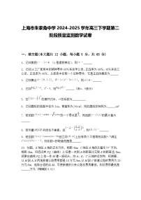 上海市朱家角中学2024-2025学年高三下学期第二阶段质量监测数学试卷（含答案解析）
