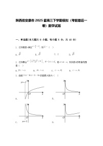 陕西省安康市2025届高三下学期模拟（考前最后一卷）数学试题（含答案解析）