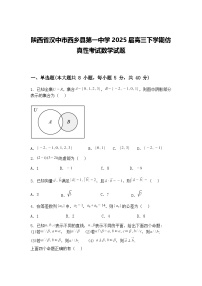 陕西省汉中市西乡县第一中学2025届高三下学期仿真性考试数学试题（含答案解析）