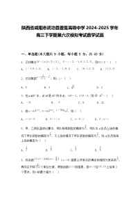 陕西省咸阳市武功县普集高级中学2024-2025学年高三下学期第六次模拟考试数学试题(含答案解析)