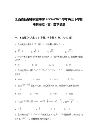 江西省新余市实验中学2024-2025学年高三下学期冲刺模拟（三）数学试题（含答案解析）