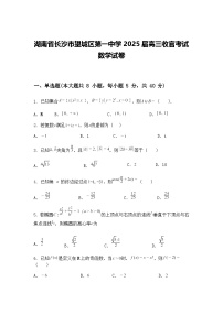 湖南省长沙市望城区第一中学2025届高三下收官考试数学试卷（含答案解析）
