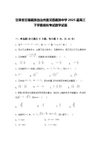 甘肃省甘南藏族自治州夏河县藏族中学2025届高三下学期模拟考试数学试题（含答案解析）