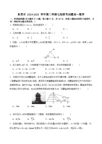 广东省东莞市七校2024-2025学年高一下学期5月期中联考数学试卷（含答案）