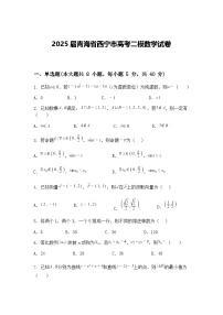 2025届青海省西宁市高三下高考二模数学试卷（含答案解析）