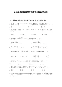 2025届青海省西宁市高三下高考二模数学试卷(含答案解析)