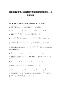 湖北省T8联盟2025届高三下学期高考考前模拟（一）数学试题（含答案解析）