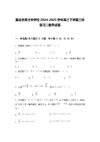 重庆市育才中学校2024-2025学年高三下学期三诊复习二数学试题（含答案解析）