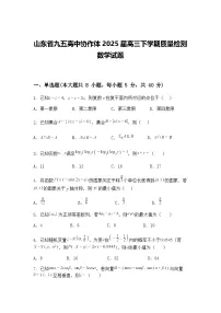 山东省九五高中协作体2025届高三下学期质量检测数学试题（含答案解析）