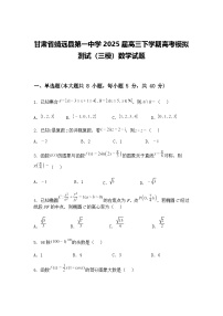 甘肃省靖远县第一中学2025届高三下学期高考模拟测试（三模）数学试题（含答案解析）