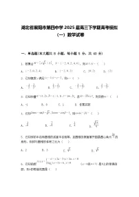 湖北省襄阳市第四中学2025届高三下学期高考模拟（一）数学试卷（含答案解析）