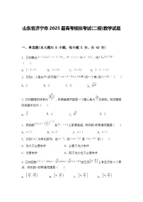 山东省济宁市2025届高三下高考模拟考试(二模)数学试题（含答案解析）