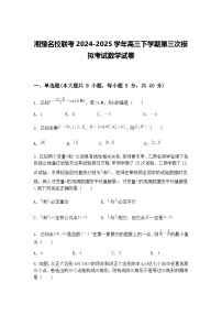 湘豫名校联考2024-2025学年高三下学期第三次模拟考试数学试卷（含答案解析）