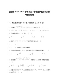 安徽省2024-2025学年高三下学期逐梦星辰杯大联考数学试卷（含答案解析）
