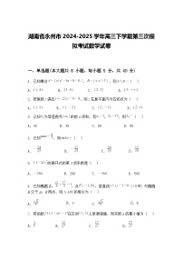 湖南省永州市2024-2025学年高三下学期第三次模拟考试数学试卷（含答案解析）