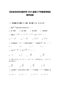 河北省沧州市沧县中学2025届高三下学期高考模拟数学试题（含答案解析）