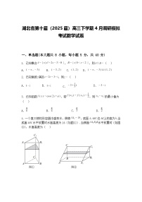 湖北省第十届（2025届）高三下学期4月调研模拟考试数学试题（含答案解析）