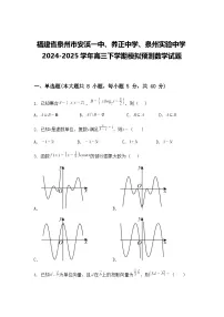 福建省泉州市安溪一中、养正中学、泉州实验中学2024-2025学年高三下学期模拟预测数学试题（含答案解析）